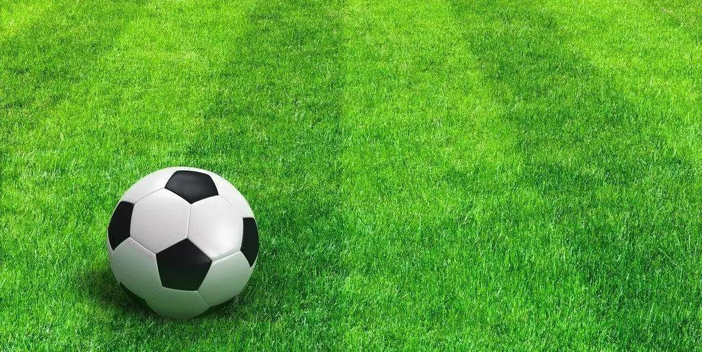 足球比分球探体育网使用流程示意图